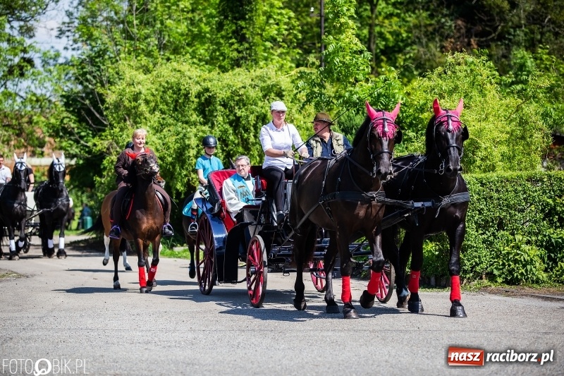 Zdjęcie w galerii na portalu naszraciborz.pl: Pierwsza konna procesja ze świętym Urbanem w Łubowicach wiadomości z regionu
