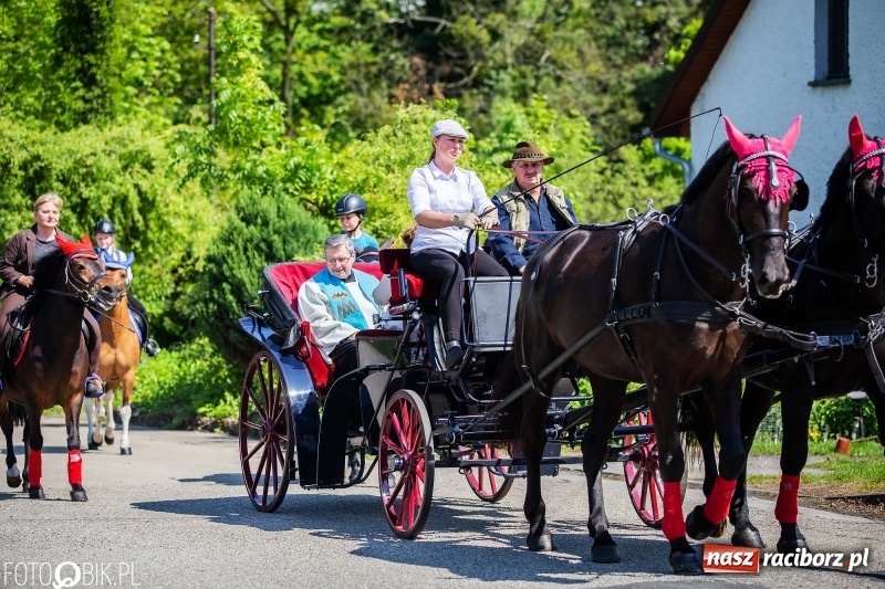 Zdjęcie w galerii na portalu naszraciborz.pl: Pierwsza konna procesja ze świętym Urbanem w Łubowicach wiadomości z regionu