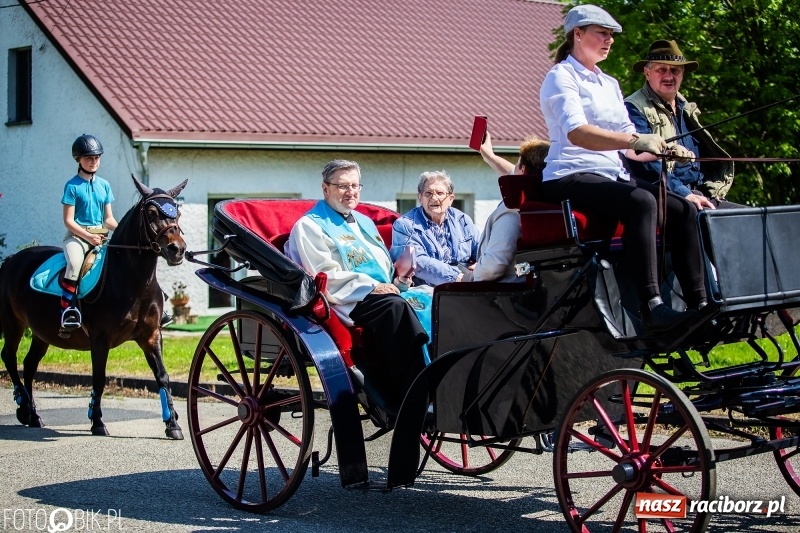 Zdjęcie w galerii na portalu naszraciborz.pl: Pierwsza konna procesja ze świętym Urbanem w Łubowicach wiadomości z regionu
