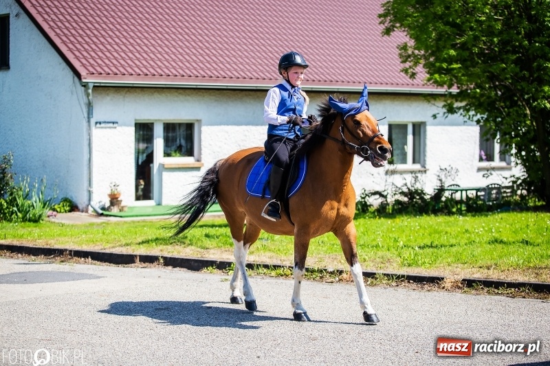 Zdjęcie w galerii na portalu naszraciborz.pl: Pierwsza konna procesja ze świętym Urbanem w Łubowicach wiadomości z regionu