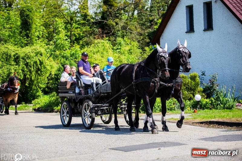 Zdjęcie w galerii na portalu naszraciborz.pl: Pierwsza konna procesja ze świętym Urbanem w Łubowicach wiadomości z regionu