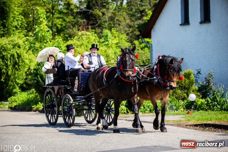 Zdjęcie w galerii na portalu naszraciborz.pl: Pierwsza konna procesja ze świętym Urbanem w Łubowicach wiadomości z regionu