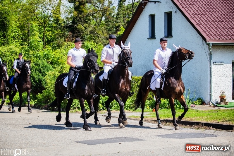 Zdjęcie w galerii na portalu naszraciborz.pl: Pierwsza konna procesja ze świętym Urbanem w Łubowicach wiadomości z regionu