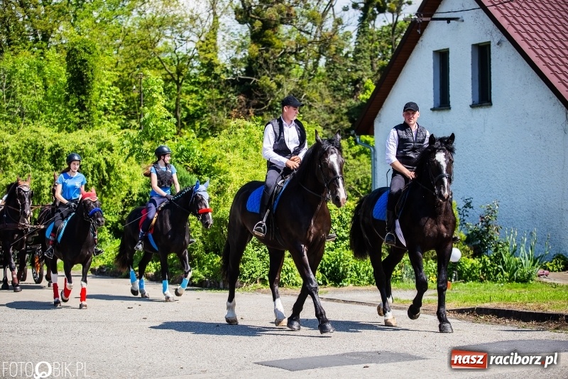 Zdjęcie w galerii na portalu naszraciborz.pl: Pierwsza konna procesja ze świętym Urbanem w Łubowicach wiadomości z regionu
