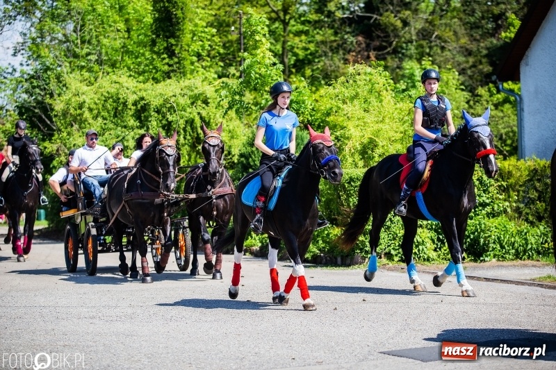 Zdjęcie w galerii na portalu naszraciborz.pl: Pierwsza konna procesja ze świętym Urbanem w Łubowicach wiadomości z regionu