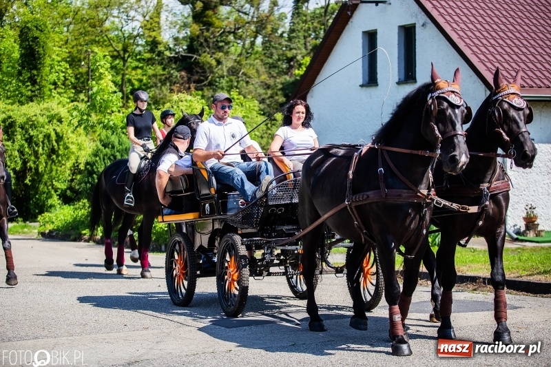 Zdjęcie w galerii na portalu naszraciborz.pl: Pierwsza konna procesja ze świętym Urbanem w Łubowicach wiadomości z regionu