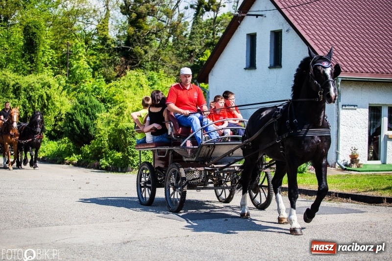 Zdjęcie w galerii na portalu naszraciborz.pl: Pierwsza konna procesja ze świętym Urbanem w Łubowicach wiadomości z regionu
