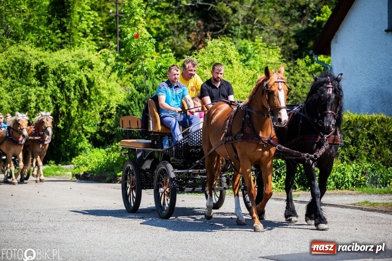 Zdjęcie w galerii na portalu naszraciborz.pl: Pierwsza konna procesja ze świętym Urbanem w Łubowicach wiadomości z regionu
