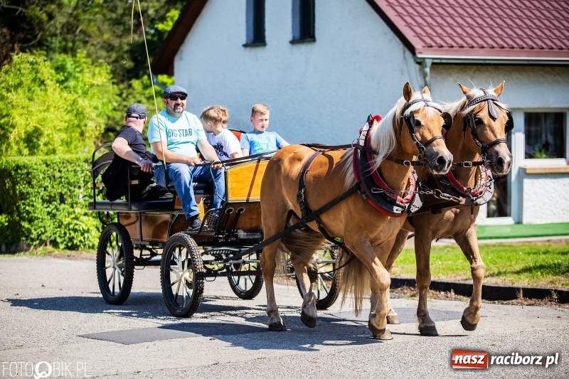 Zdjęcie w galerii na portalu naszraciborz.pl: Pierwsza konna procesja ze świętym Urbanem w Łubowicach wiadomości z regionu