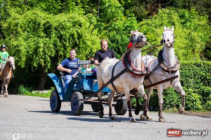 Zdjęcie w galerii na portalu naszraciborz.pl: Pierwsza konna procesja ze świętym Urbanem w Łubowicach wiadomości z regionu