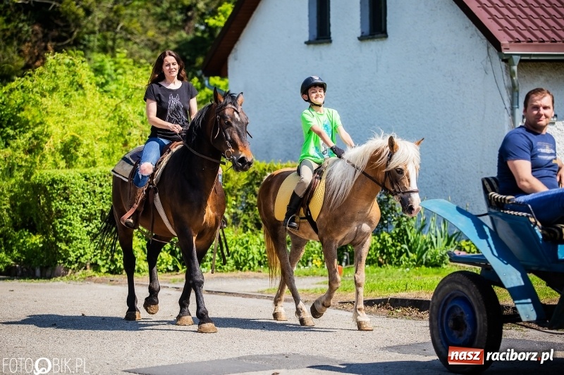 Zdjęcie w galerii na portalu naszraciborz.pl: Pierwsza konna procesja ze świętym Urbanem w Łubowicach wiadomości z regionu