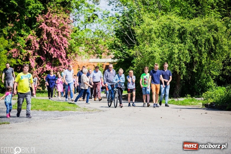 Zdjęcie w galerii na portalu naszraciborz.pl: Pierwsza konna procesja ze świętym Urbanem w Łubowicach wiadomości z regionu