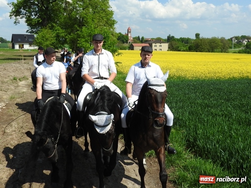 Zdjęcie w galerii na portalu naszraciborz.pl: Pierwsza konna procesja ze świętym Urbanem w Łubowicach wiadomości z regionu