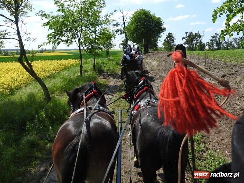 Zdjęcie w galerii na portalu naszraciborz.pl: Pierwsza konna procesja ze świętym Urbanem w Łubowicach wiadomości z regionu