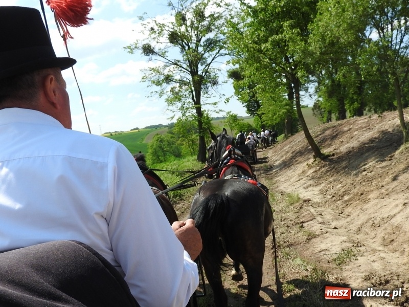 Zdjęcie w galerii na portalu naszraciborz.pl: Pierwsza konna procesja ze świętym Urbanem w Łubowicach wiadomości z regionu