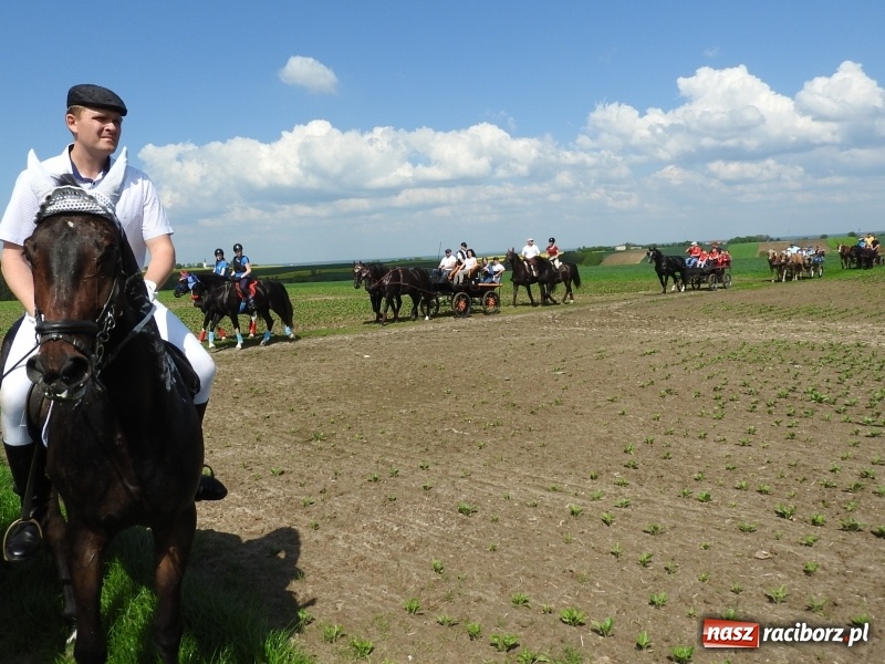 Zdjęcie w galerii na portalu naszraciborz.pl: Pierwsza konna procesja ze świętym Urbanem w Łubowicach wiadomości z regionu