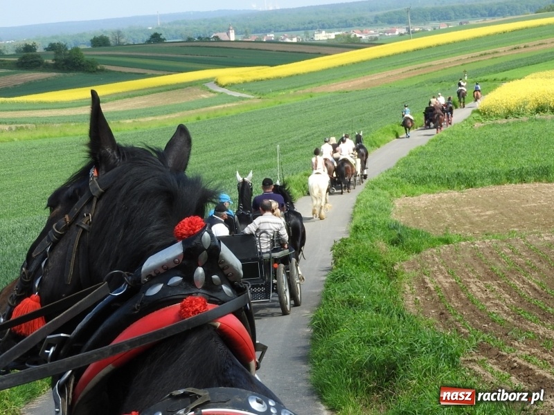 Zdjęcie w galerii na portalu naszraciborz.pl: Pierwsza konna procesja ze świętym Urbanem w Łubowicach wiadomości z regionu