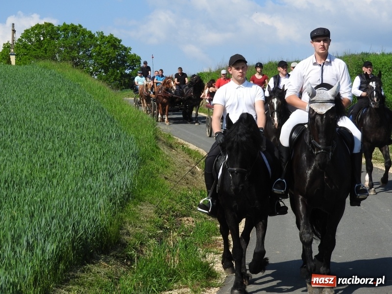 Zdjęcie w galerii na portalu naszraciborz.pl: Pierwsza konna procesja ze świętym Urbanem w Łubowicach wiadomości z regionu