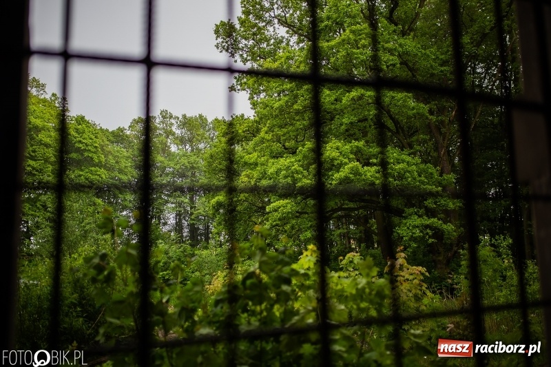 Zdjęcie w galerii na portalu naszraciborz.pl: Noc Muzeów w pałacu w Rzuchowie wiadomości z regionu