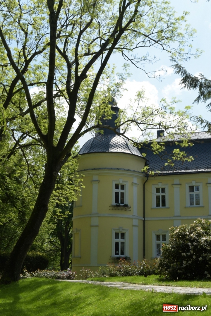 Zdjęcie w galerii na portalu naszraciborz.pl: Majówka pod zamkiem w Chałupkach [FOTO] wiadomości z regionu