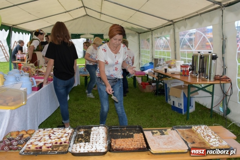 Zdjęcie w galerii na portalu naszraciborz.pl: Majówka pod zamkiem w Chałupkach [FOTO] wiadomości z regionu