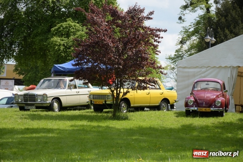 Zdjęcie w galerii na portalu naszraciborz.pl: Majówka pod zamkiem w Chałupkach [FOTO] wiadomości z regionu