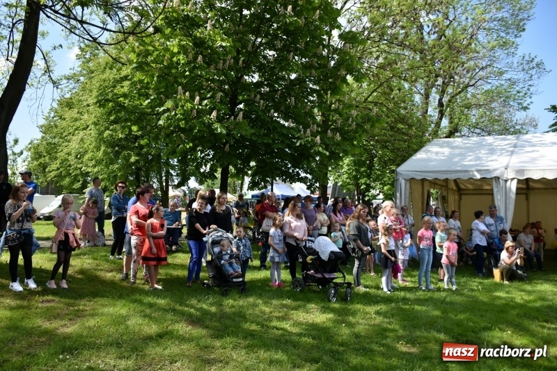 Zdjęcie w galerii na portalu naszraciborz.pl: Majówka pod zamkiem w Chałupkach [FOTO] wiadomości z regionu