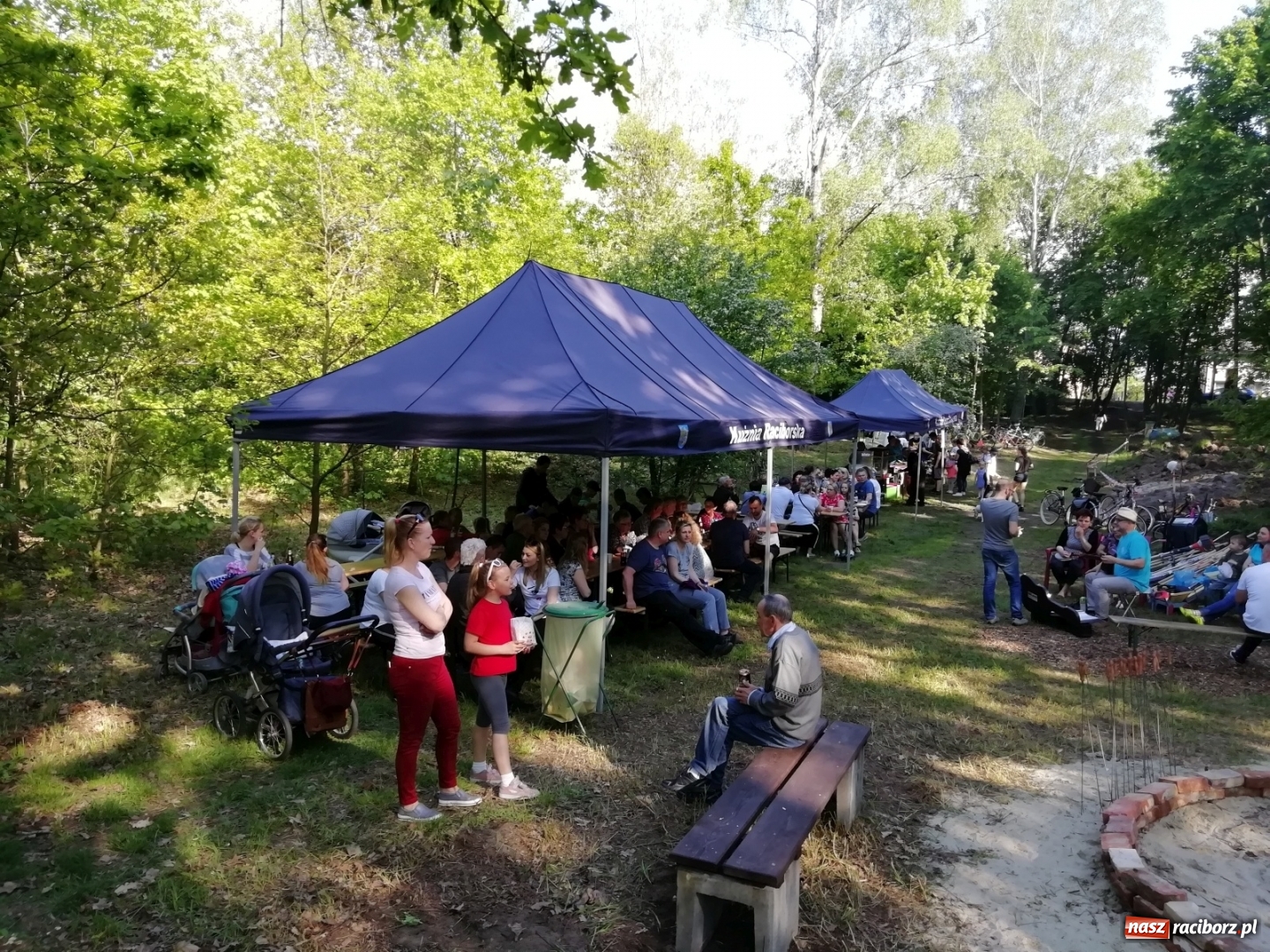 Zdjęcie w galerii na portalu naszraciborz.pl: Piknik przy grillu w Kuźni Raciborskiej wiadomości z regionu