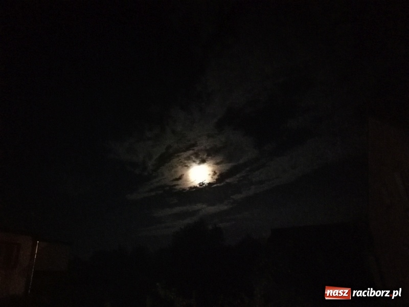 Zdjęcie w galerii na portalu naszraciborz.pl: Piknik przy grillu w Kuźni Raciborskiej wiadomości z regionu