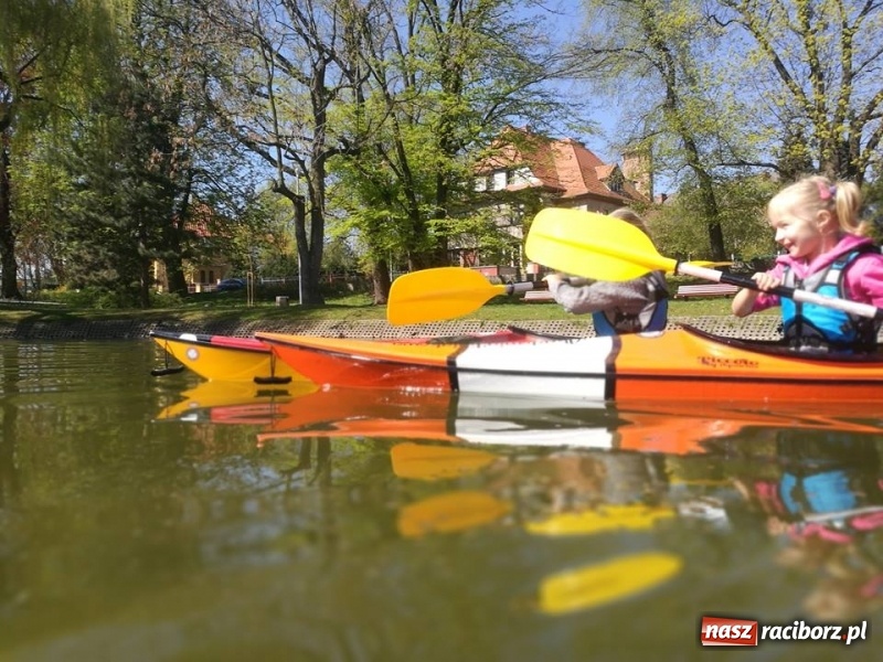 Zdjęcie w galerii na portalu naszraciborz.pl: Na staw w parku Roth wróciły kajaki. Zimą będzie lodowisko wiadomości z regionu