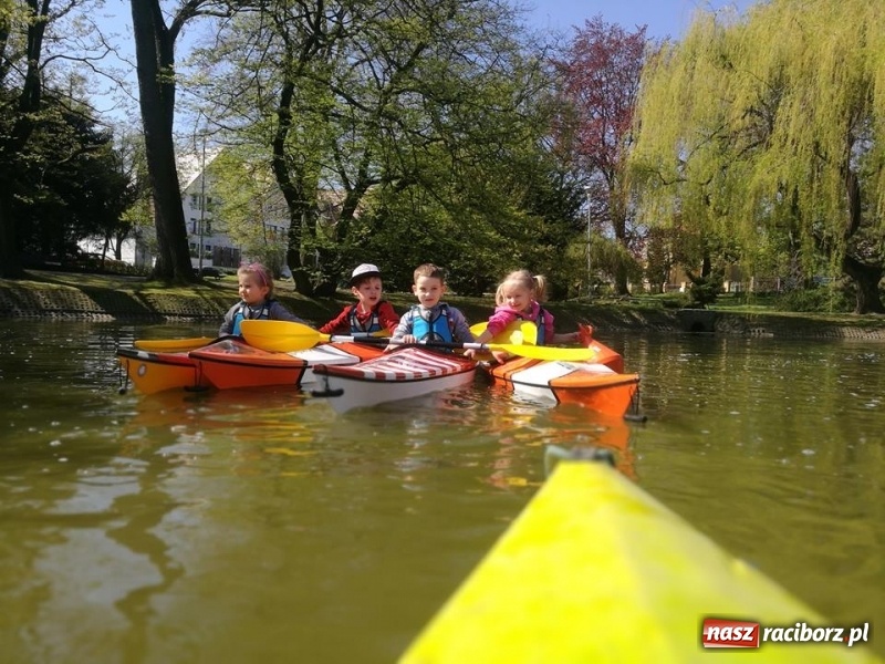 Zdjęcie w galerii na portalu naszraciborz.pl: Na staw w parku Roth wróciły kajaki. Zimą będzie lodowisko wiadomości z regionu