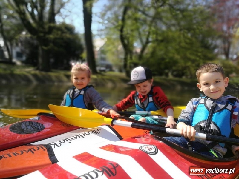 Zdjęcie w galerii na portalu naszraciborz.pl: Na staw w parku Roth wróciły kajaki. Zimą będzie lodowisko wiadomości z regionu