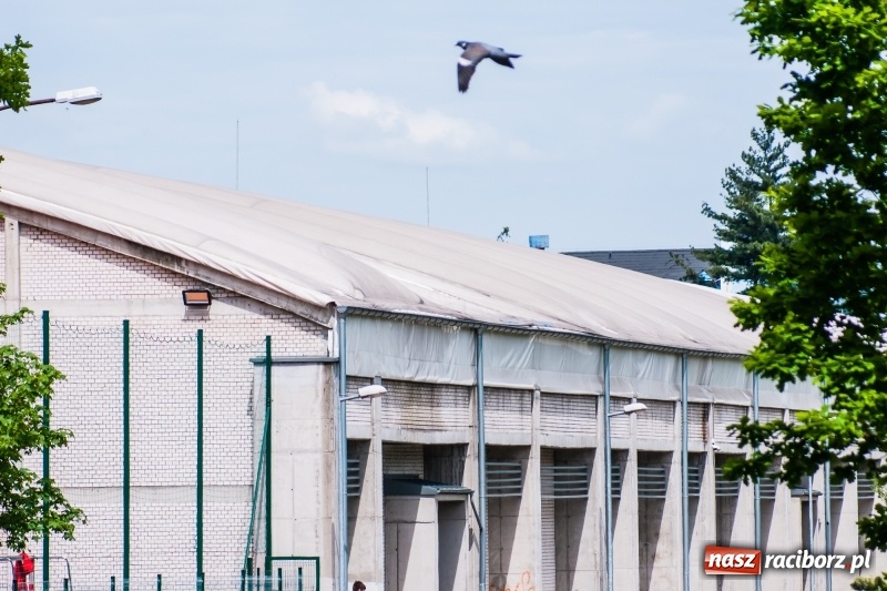 Zdjęcie w galerii na portalu naszraciborz.pl: Hala ZSOMS z dziurą w dachu. Płótno nie wytrzymało nawet pięciu lat!  wiadomości z regionu