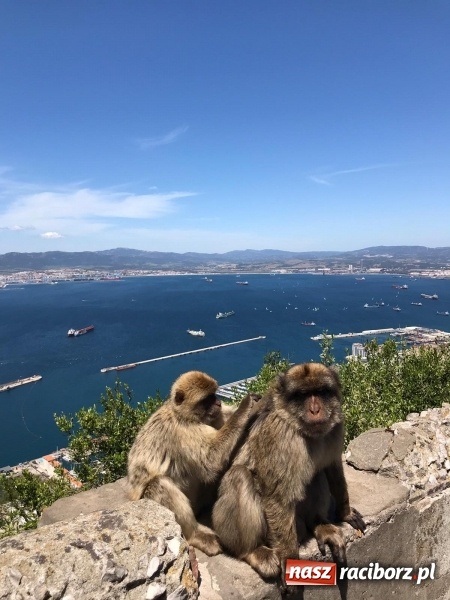 Zdjęcie w galerii na portalu naszraciborz.pl: Polski akcent w Granadzie  wiadomości z regionu