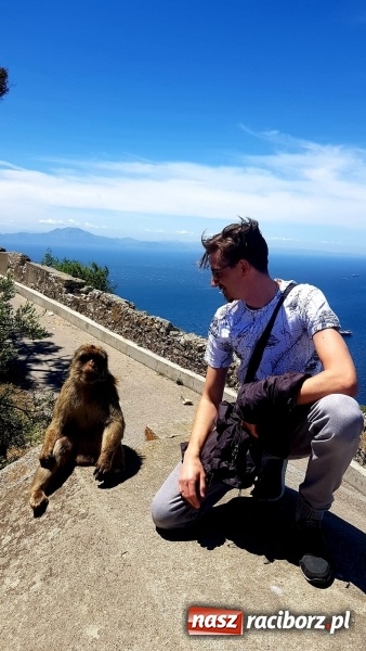 Zdjęcie w galerii na portalu naszraciborz.pl: Polski akcent w Granadzie  wiadomości z regionu