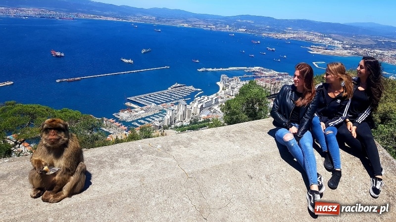 Zdjęcie w galerii na portalu naszraciborz.pl: Polski akcent w Granadzie  wiadomości z regionu