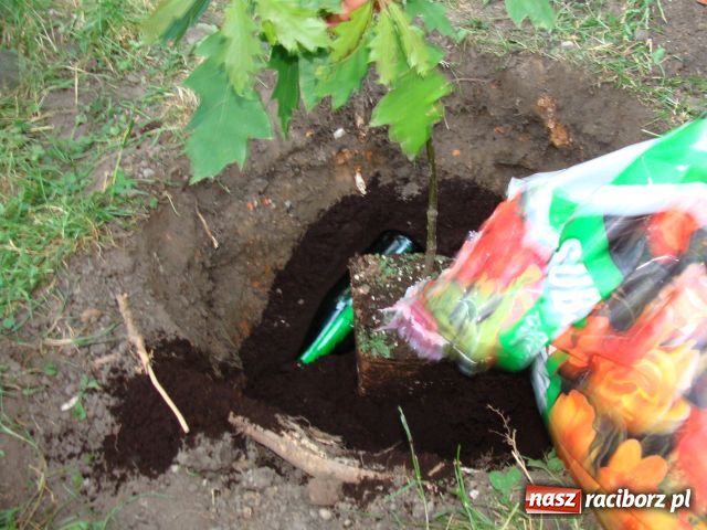 Zdjęcie w galerii na portalu naszraciborz.pl: Spotkanie dzieci z Podwórka Kolejowego wiadomości z regionu