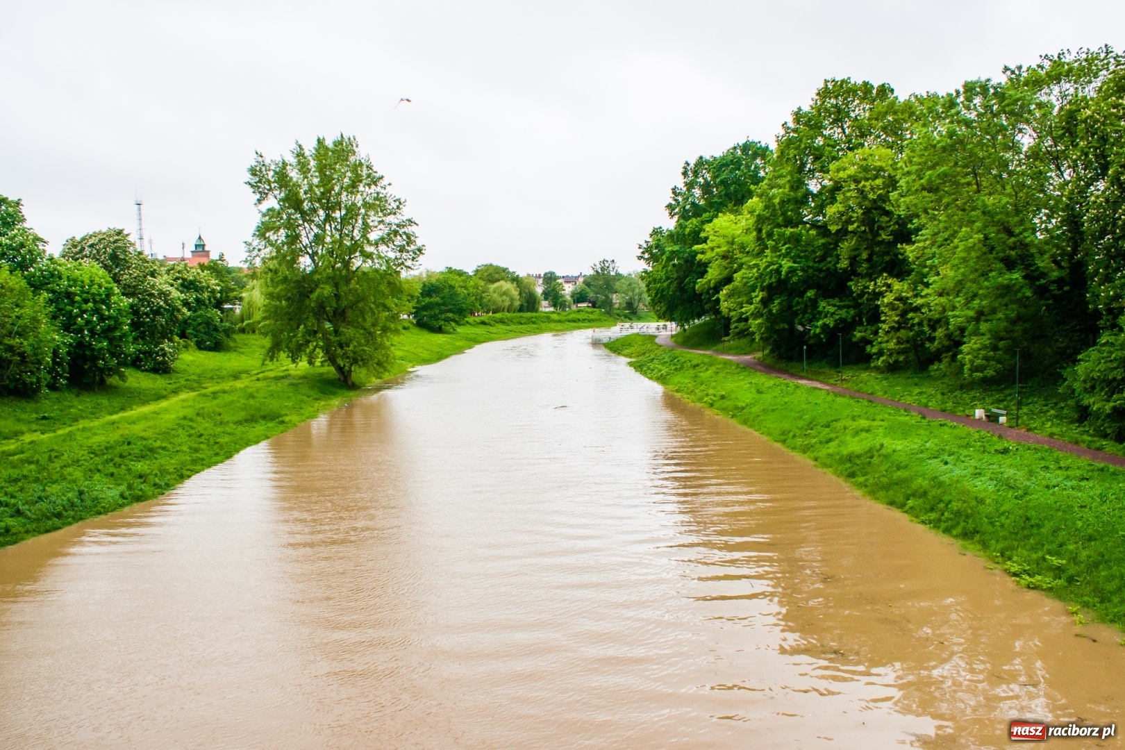 Zdjęcie w galerii na portalu naszraciborz.pl: Stany ostrzegawcze na Odrze wciąż przekroczone [FOTO i WIDEO] wiadomości z regionu
