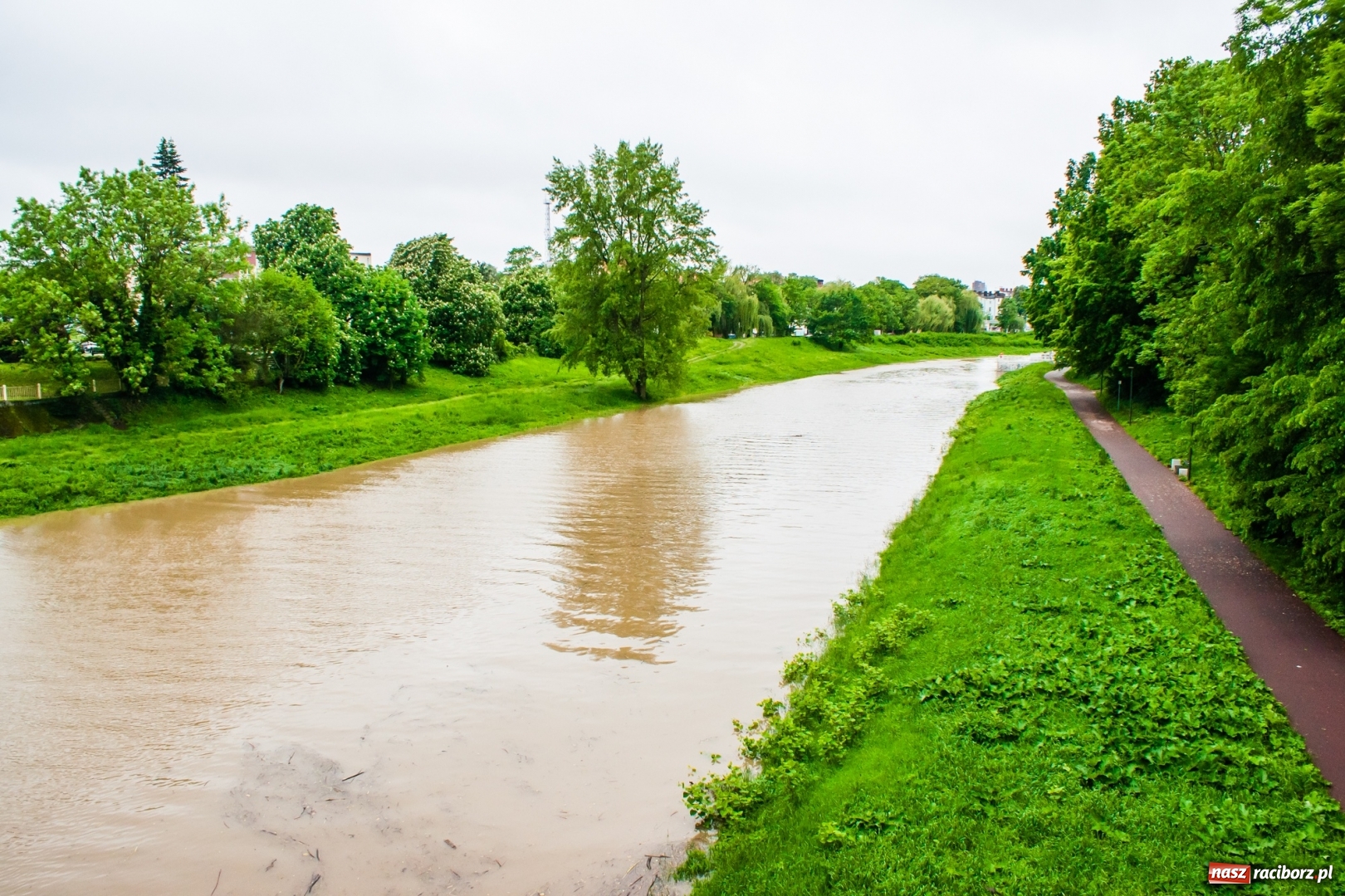 Zdjęcie w galerii na portalu naszraciborz.pl: Stany ostrzegawcze na Odrze wciąż przekroczone [FOTO i WIDEO] wiadomości z regionu