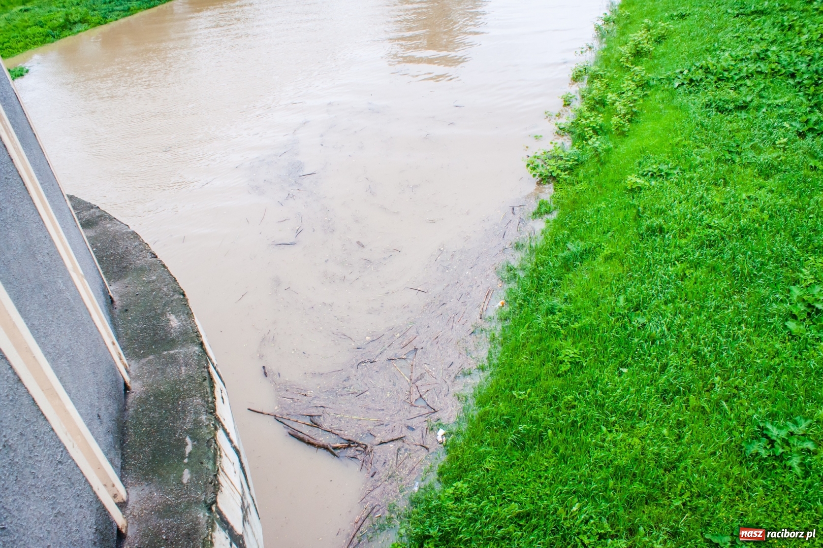 Zdjęcie w galerii na portalu naszraciborz.pl: Stany ostrzegawcze na Odrze wciąż przekroczone [FOTO i WIDEO] wiadomości z regionu