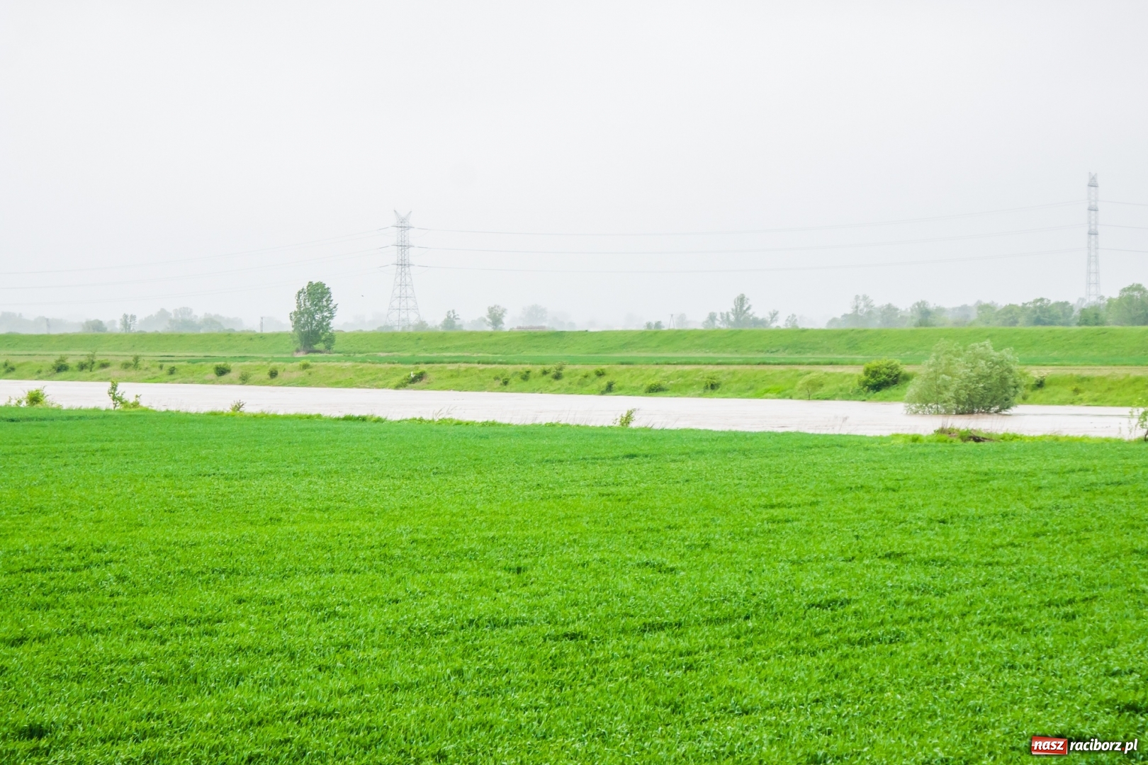Zdjęcie w galerii na portalu naszraciborz.pl: Stany ostrzegawcze na Odrze wciąż przekroczone [FOTO i WIDEO] wiadomości z regionu