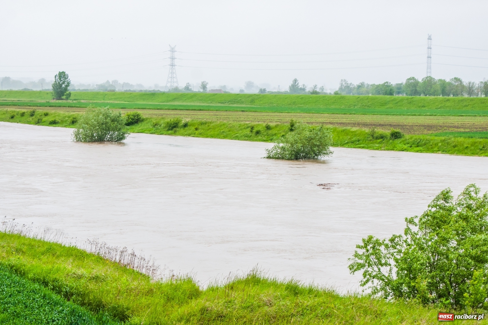Zdjęcie w galerii na portalu naszraciborz.pl: Stany ostrzegawcze na Odrze wciąż przekroczone [FOTO i WIDEO] wiadomości z regionu