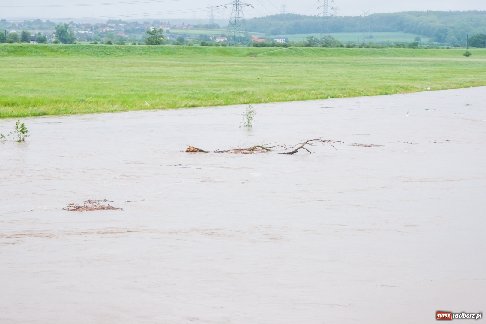 Zdjęcie w galerii na portalu naszraciborz.pl: Stany ostrzegawcze na Odrze wciąż przekroczone [FOTO i WIDEO] wiadomości z regionu