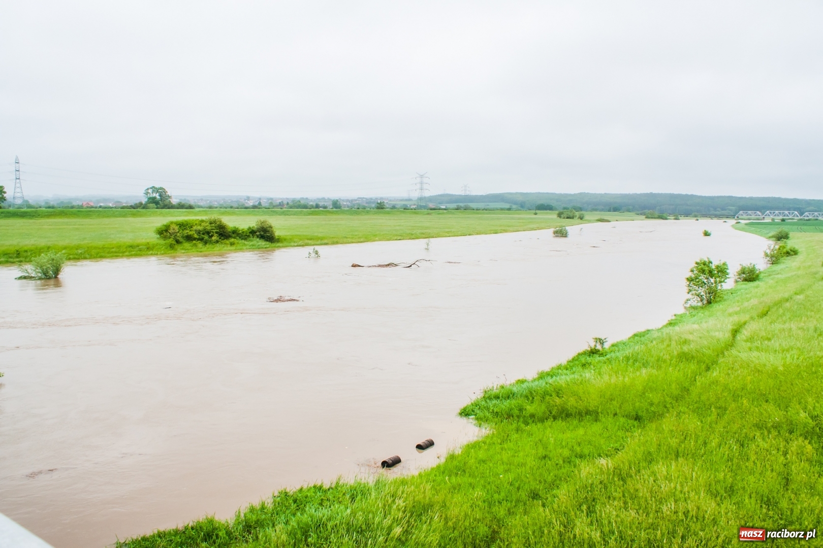 Zdjęcie w galerii na portalu naszraciborz.pl: Stany ostrzegawcze na Odrze wciąż przekroczone [FOTO i WIDEO] wiadomości z regionu