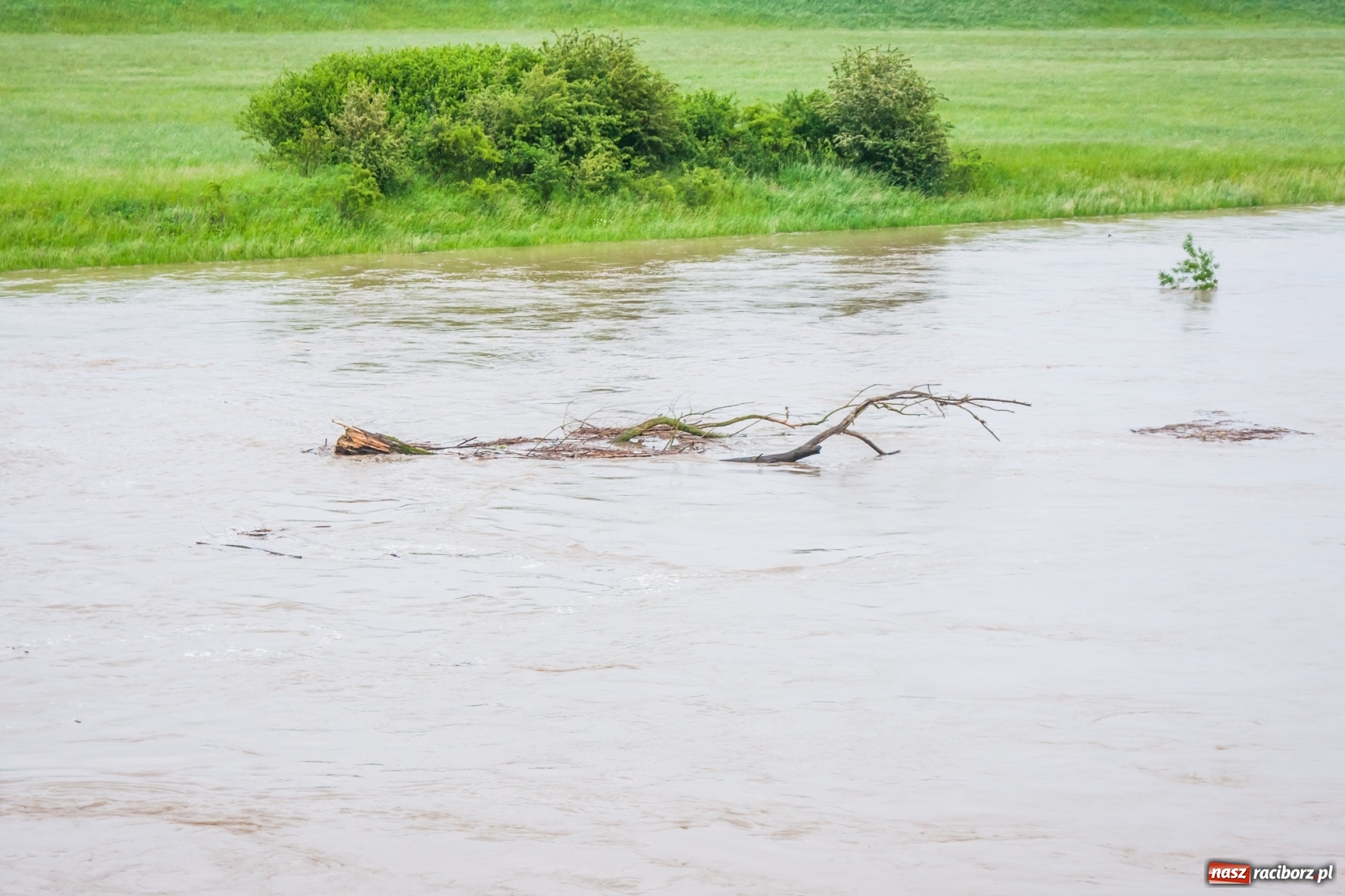 Zdjęcie w galerii na portalu naszraciborz.pl: Stany ostrzegawcze na Odrze wciąż przekroczone [FOTO i WIDEO] wiadomości z regionu