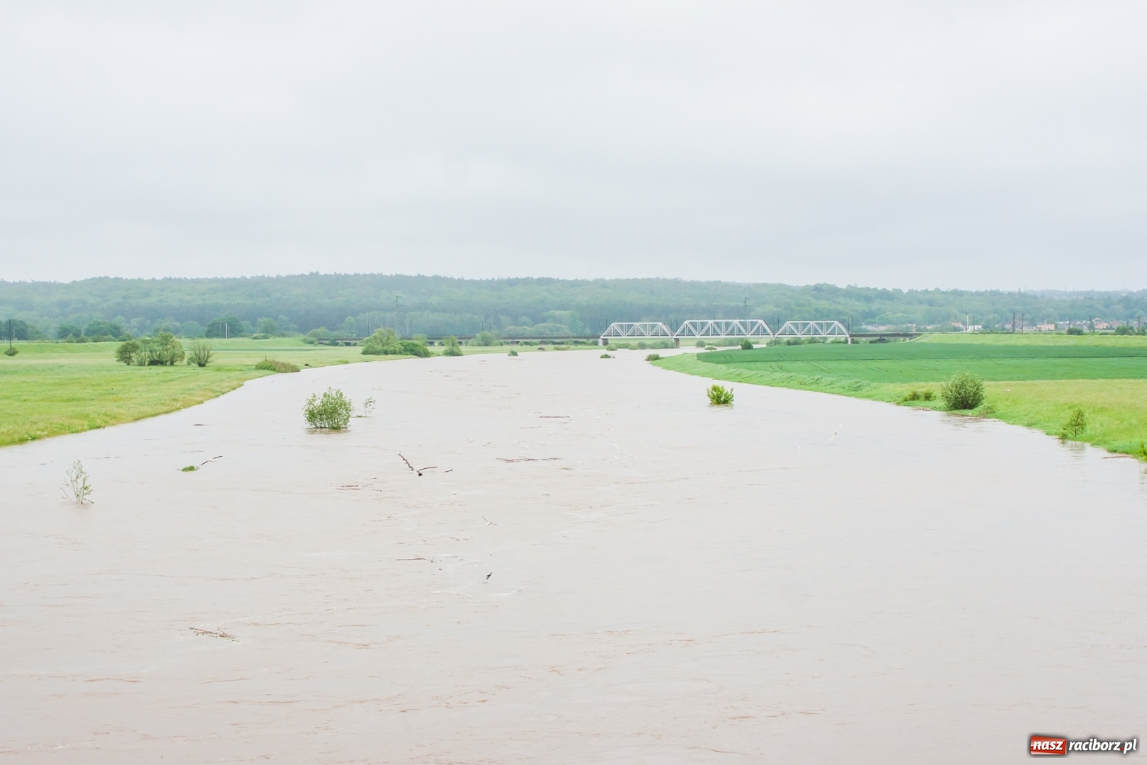 Zdjęcie w galerii na portalu naszraciborz.pl: Stany ostrzegawcze na Odrze wciąż przekroczone [FOTO i WIDEO] wiadomości z regionu