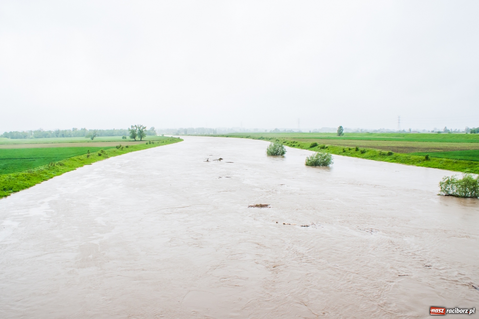 Zdjęcie w galerii na portalu naszraciborz.pl: Stany ostrzegawcze na Odrze wciąż przekroczone [FOTO i WIDEO] wiadomości z regionu