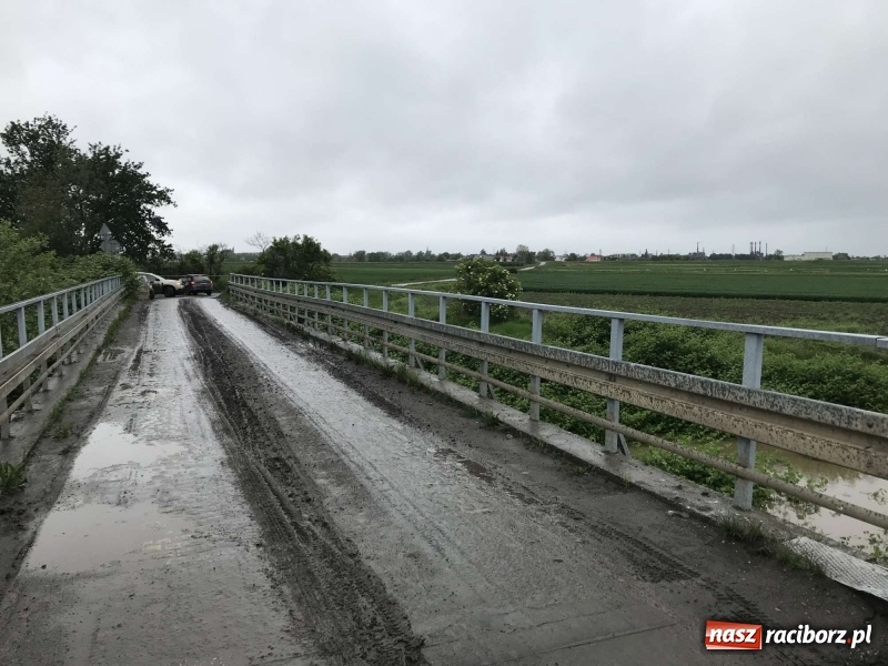 Zdjęcie w galerii na portalu naszraciborz.pl: Stany ostrzegawcze na Odrze wciąż przekroczone [FOTO i WIDEO] wiadomości z regionu
