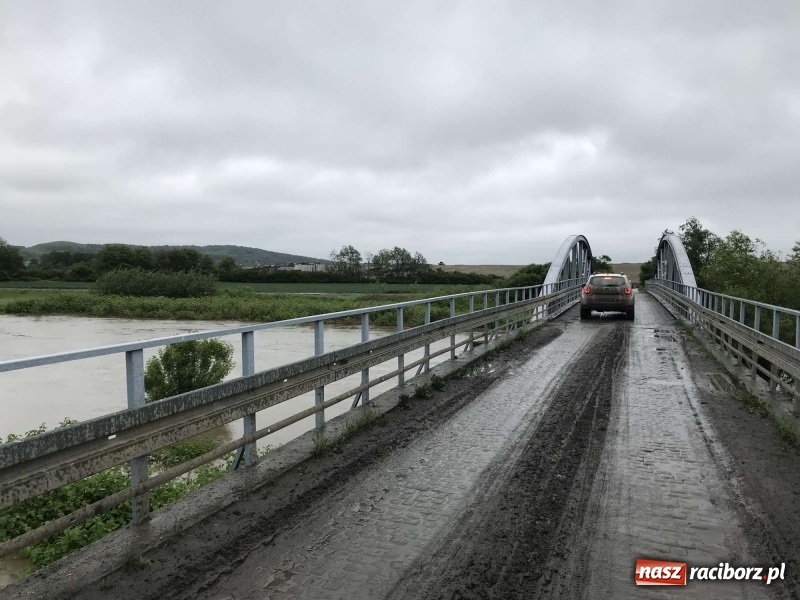 Zdjęcie w galerii na portalu naszraciborz.pl: Stany ostrzegawcze na Odrze wciąż przekroczone [FOTO i WIDEO] wiadomości z regionu