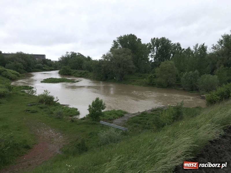 Zdjęcie w galerii na portalu naszraciborz.pl: Stany ostrzegawcze na Odrze wciąż przekroczone [FOTO i WIDEO] wiadomości z regionu